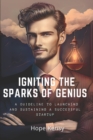 Image for Igniting the Sparks of Genius : A Guideline to Launching and Sustaining a Successful Startup