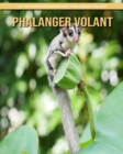 Image for Phalanger Volant