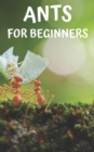 Image for Ants for beginners
