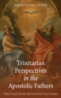 Image for Trinitarian Perspectives in the Apostolic Fathers: An Investigation