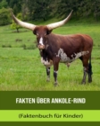 Image for Fakten uber Ankole-Rind (Faktenbuch fur Kinder)