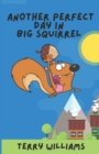 Image for Another Perfect Day in Big Squirrel