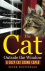 Image for The Cat Outside the Window