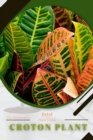 Image for Croton plant