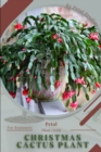 Image for Christmas Cactus Plant