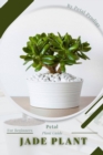 Image for Jade Plant