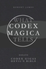 Image for What Codex Magica Tells