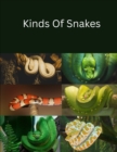 Image for Kinds Of Snakes