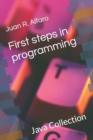 Image for First steps in programming