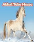 Image for Akhal Teke Horse