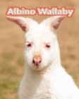 Image for Albino Wallaby