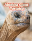 Image for Aldabra Giant Tortoise