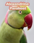 Image for Alexandrine Parakeet : Facts Book (Fun Facts Book For Kids)