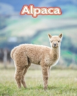 Image for Alpaca