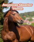 Image for American Quarter Horse : Facts Book (Fun Facts Book For Kids)