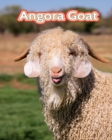 Image for Angora Goat