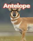 Image for Antelope