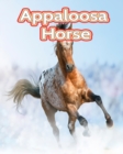 Image for Appaloosa Horse : Facts Book (Fun Facts Book For Kids)