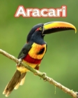 Image for Aracari