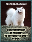Image for Concentrations in Numbers to Restore the Body of Dogs
