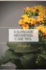 Image for Kalanchoe beharensis Care Tips