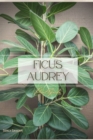 Image for Ficus Audrey