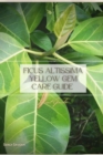 Image for Ficus altissima &#39;Yellow Gem&#39; Care Guide