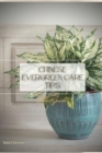 Image for Chinese Evergreen Care Tips