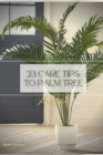 Image for 23 Care Tips To Palm Tree