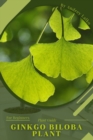 Image for Ginkgo biloba plant