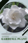 Image for Gardenia Plant