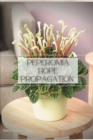 Image for Peperomia Hope Propagation
