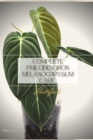 Image for Complete Philodendron Melanochrysum Care : Plant Guide