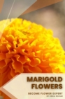 Image for Marigold Flowers : Become flower expert