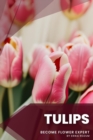 Image for Tulips