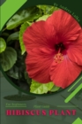 Image for hibiscus plant