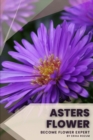 Image for asters flower : Become flower expert
