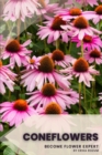 Image for Coneflowers : Become flower expert