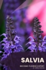 Image for Salvia : Become flower expert