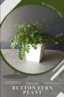 Image for button fern plant