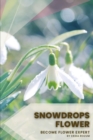 Image for Snowdrops flower : Become flower expert