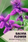 Image for Salvia Flower : Become flower expert