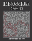 Image for Impossible Mazes