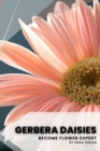 Image for Gerbera Daisies : Become flower expert