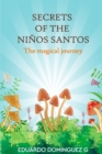 Image for Secrets of the ninos santos
