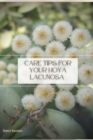 Image for Care Tips for Your Hoya Lacunosa : Plant Guide