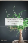 Image for Tips for Keeping Your Ponytail Palm : Plant Guide