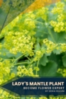 Image for Lady&#39;s Mantle Plant : Become flower expert