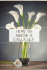 Image for How to Grow a Calla Lily : Plant Guide