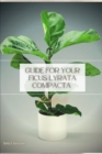 Image for Guide For Your Ficus Lyrata Compacta : Plant Guide
